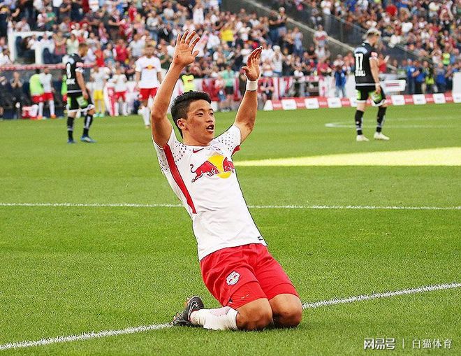 关于奥地利队主场大捷，引得球迷欢呼不已的信息